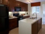 Sleek and modern kitchen in Zen McKenzie Towne condos 